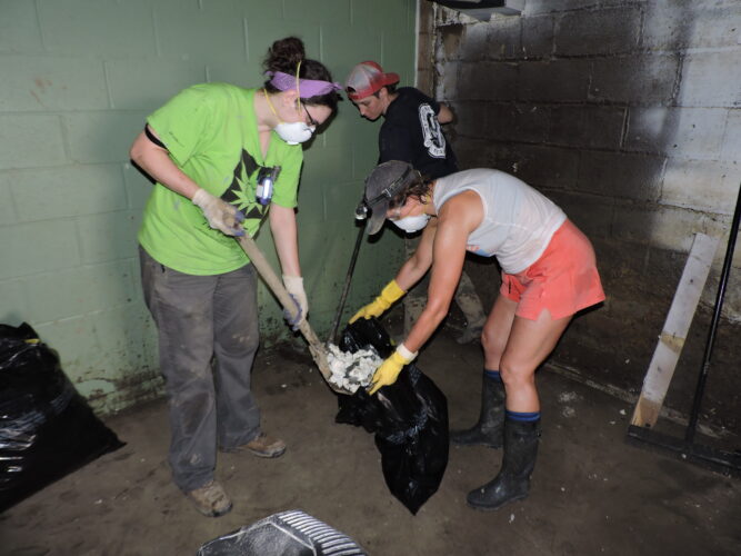 Deep in the Mud: An Afternoon as a Flood Relief Volunteer